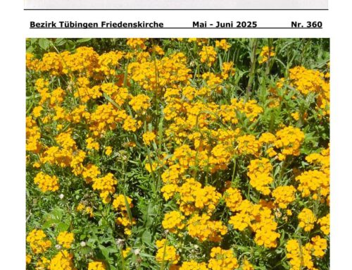 Gemeindebrief 05/25 bis 06/25