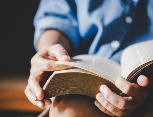 Eine Stunde mit der Bibel am 13.11., 20.11. und 27.11.2025